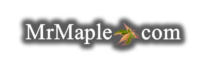 MrMaple